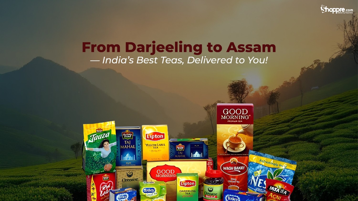 From Darjeeling to Assam: India's Best Tea Delivered to You